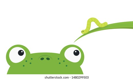 frog and worm cartoon vector. wallpaper. free space for text. copy space. blank.