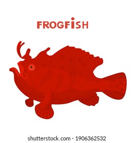 Frogfish with text names. Cute animal. Vector cartoon color image.