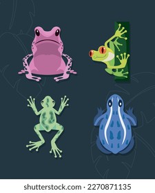 frogs amphibians animals characters group