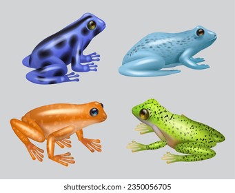 Ranas. Conjunto animal de naturaleza salvaje raza anfibios vector decente imágenes realistas plantillas de ranas en varias poses