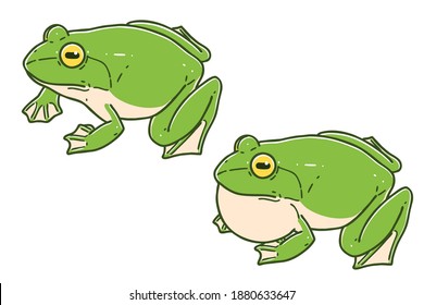 Frogs. Colored vector illustrations set.