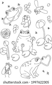 Frösche und Blumen, Vektorgrafik. Skizzen handgezeichneter Elemente. 