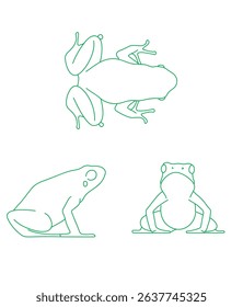 Frogs Golden Poison Frog. Frogs Golden Poison Frog.