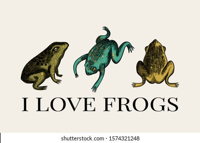 frogs and the inscription: I love frogs, T-shirt print