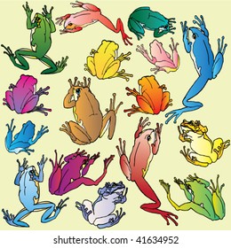 frogs pattern
