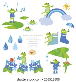 Frogs in the rainy season