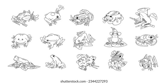 Frogs set. Different species of amphibian, reptile: ceratophrys, tree, tomato and spotted treefrog. Cute, funny tropical, rainforest toad sit with tongue. Lineart isolated vector illustration on white