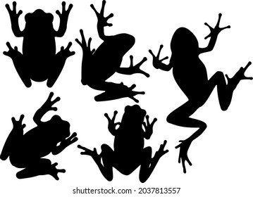 Frogs in the set. Vector image.