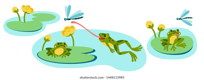 frogs sit on the leaves of plants, catch dragonflies, flowers on the water.
