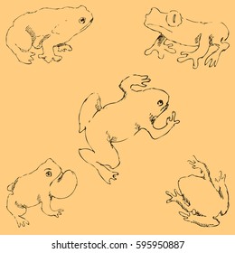 Frogs. Sketch by hand. Pencil drawing by hand. Vector image. The image is thin lines. Vintage colors