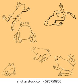 Frogs. Sketch by hand. Pencil drawing by hand. Vector image. The image is thin lines. Vintage colors