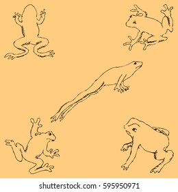 Frogs. Sketch by hand. Pencil drawing by hand. Vector image. The image is thin lines. Vintage colors