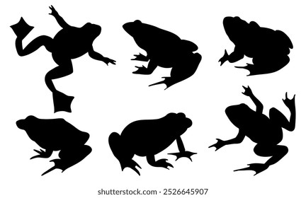 Frogs and toads set of different species in different poses. Different kinds of frogs. Black vector silhouettes on white background