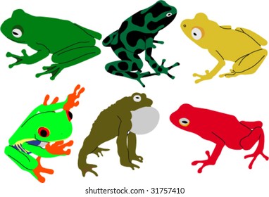 frogs vector