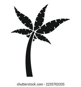 Frond palm icon simple vector. Coconut tree. Summer plant