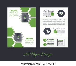 Front and Back Corporate Brochure, Textbook Cover. Image Add Feature Print Ready Business Pamphlet Design, Booklet Template. A4 Flyer Document Vector Background
