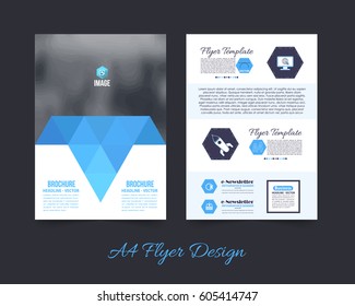 Front and Back Corporate Brochure, Textbook Cover. Image Add Feature Print Ready Business Pamphlet Design, Booklet Template. A4 Flyer Document Vector Background