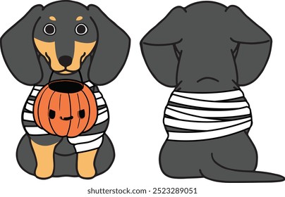 
Delantero y trasero Perro Halloween, Perro de la momia, Dachshund Perro dibujo