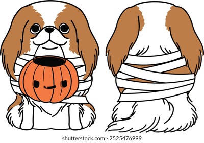 Frente y parte posterior del perro Halloween, perro de la momia, dibujo japonés del perro de la barbilla