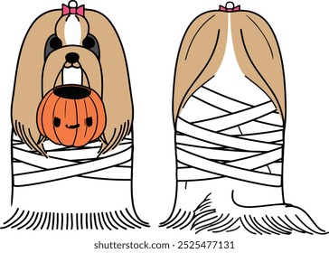 Frente y parte posterior Perro Halloween, Perro de la momia, Pelo largo maltés Dibujo del perro