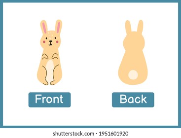 Front and back opposite adjectives educational wordcard. Flashcard with a cute rabbit for school and preschool. Activity page for kids. Vector illustration