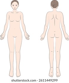 The front and back view of a woman's body.
