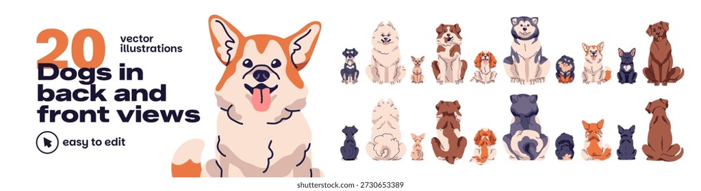 Front and back views of dogs set. Puppies of different breeds from various sides. Sitting and turning away pets. Cute domestic animals. Flat isolated vector illustrations on white background
