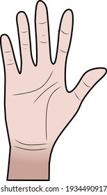 A front facing right hand cartoon vector illustration. Stop sign.