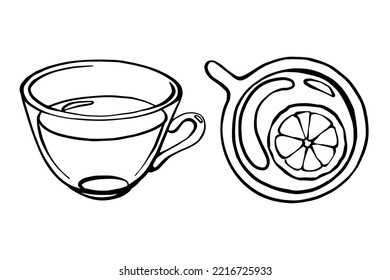 Front and high angle drawing of glass tea cup with lemon. Tea set of design elements in doodle style for menu design.