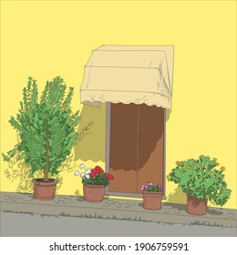 El frente de la casa y las flores en maceta. 