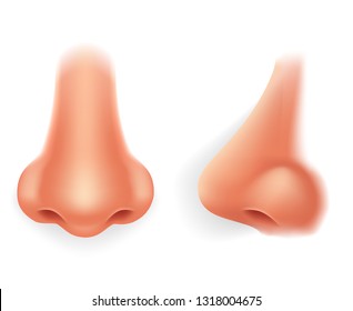 Front profile human nose realistic 3d isolated icon design vector illustration