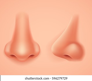 Front Profile Human Nose Realistic Background Isolated Design Vector Illustration