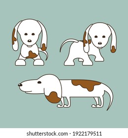 Front, side and back view of white long dog with brown spots