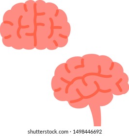 Front and side view of human brain