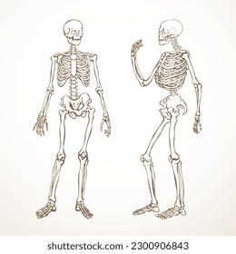 Front side view white old part arm leg foot hip pelvis torso thorax care scan x ray death logo set. Hand drawn line xray dead spinal cage column injury ill pain exam vintage outline sketch art cartoon