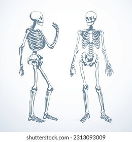 Front side view white old part arm leg foot hip pelvis torso thorax care scan x ray death logo set. Hand drawn line xray dead spinal cage column injury ill pain exam vintage outline sketch art cartoon