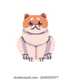 Front view of adorable cat of Exotic Shorthair or Persian breed. Cute kitten with funny muzzle sits. Amusing kitty, happy pet, joyful animal. Flat isolated vector illustration on white background