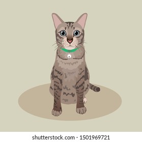 front view of an adorable tabby cat sitting, animal, feline or mammal, vector illustration
