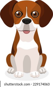 Front view of a beagle dog vector illustration, check my other dog breeds.