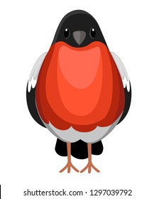 Vista frontal del pájaro Bullfinch sentado. Diseño de personaje de dibujos animados plano. Icono de pájaro colorido. Linda Plantilla de jilguero. Pájaro de invierno. Ilustración vectorial aislada sobre fondo blanco.