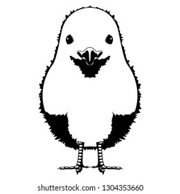 Front view of a chicken. Silhouette. Vector illustration design