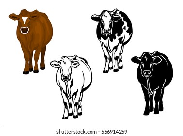 Front view cow in brown color, silhouette, contour and patched silhouette set