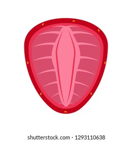 Front view of a cut strawberry. Vector illustration design