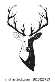 front view of deer drawing in black and white vector