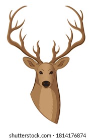 front view of deer drawing in vector