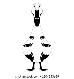 Front view of a duck. Silhouette. Vector illustration design