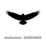 Front view flying eagle silhouette vector flat illustration design.