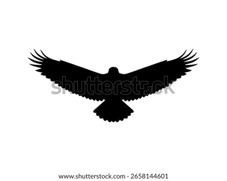Front view flying eagle silhouette vector flat illustration design.