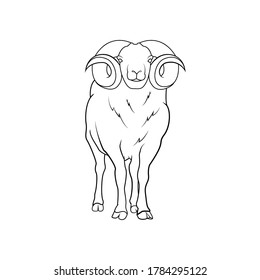 front view goat line art drawing animal 