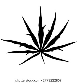 Front view graphic illustration of a crisp black silhouette of a jatropha multifida leaf, commonly known as the iodine plant or jarak tintir. Carefully edited from an organic scan into a clean vector-style palmate lobed design, this minimalist botanical asset is perfect for herbal medicine logos, traditional remedy icons, eco-friendly branding, and modern graphic layouts.